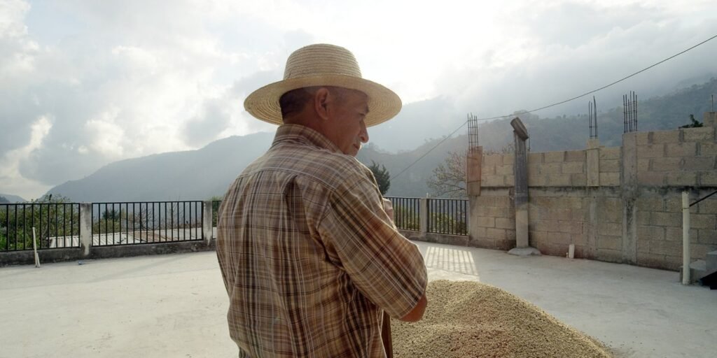 Productor de café de FECCEG